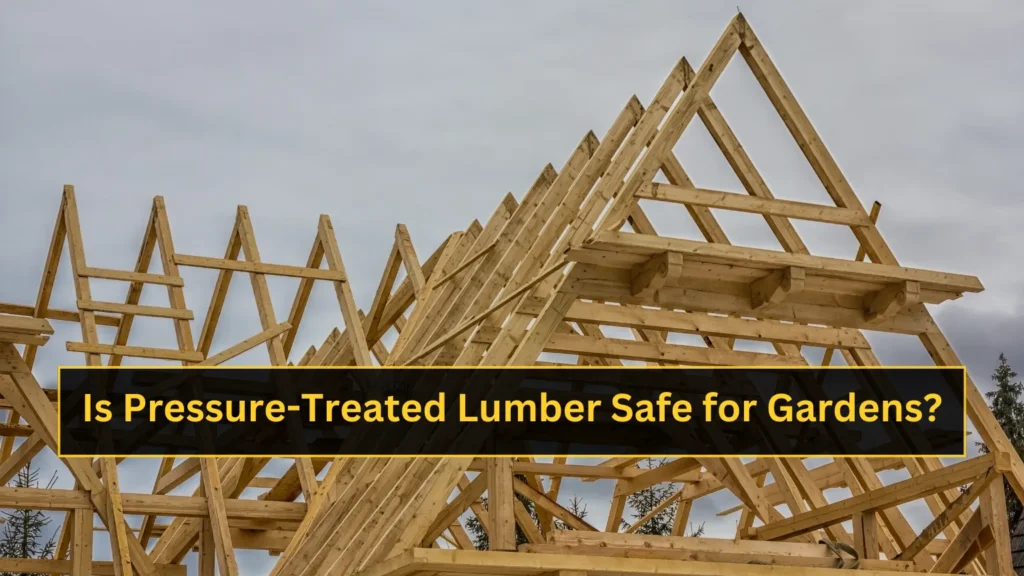 Is pressure-treated lumber safe for gardens